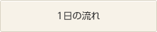 一日の流れ